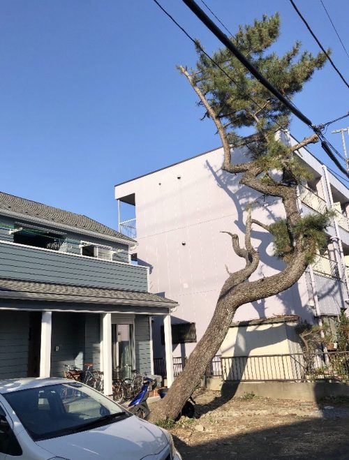 八王子市中野上町 コグマホームの新築戸建て 地デジ八木アンテナ設置工事 あさひアンテナ